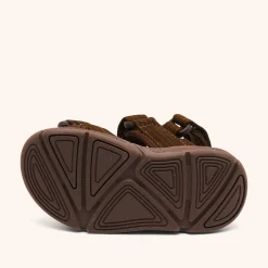 louis cacao
