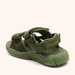 louis olive