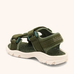 nico olive