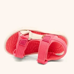 nico pink