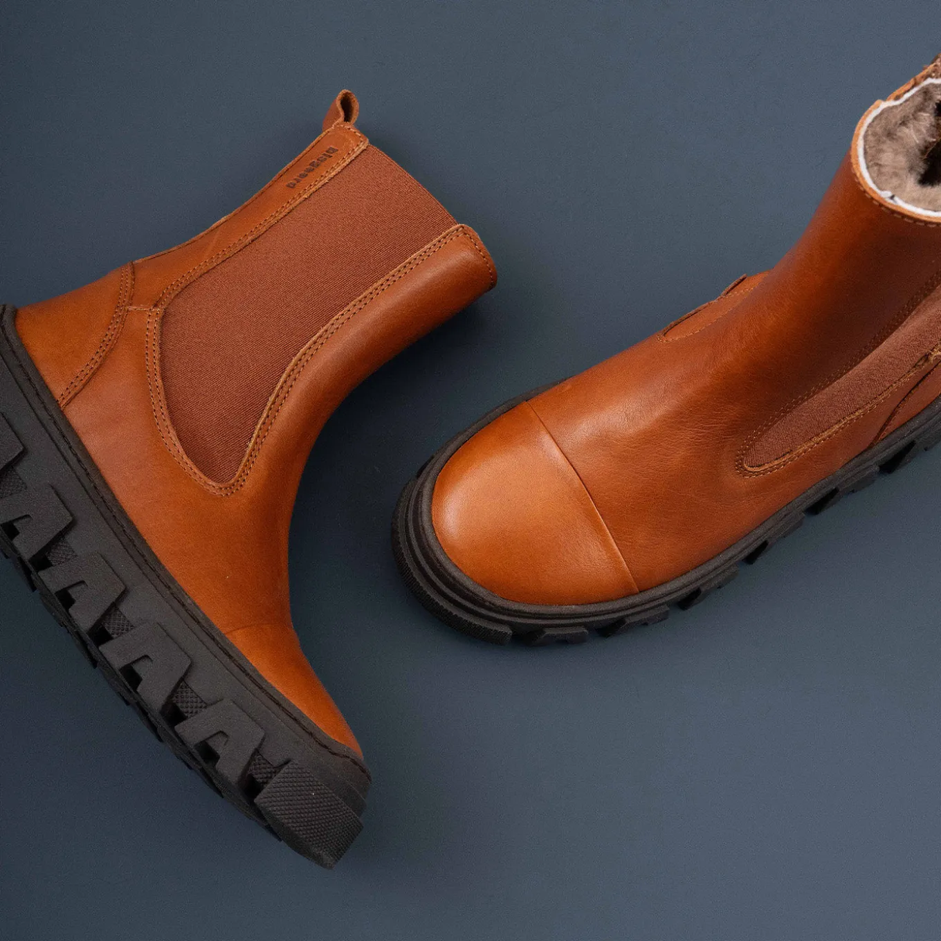 nilla lamb cognac