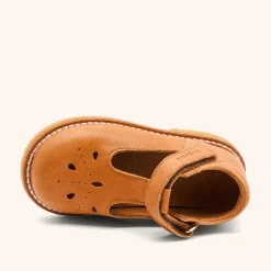 noelle cognac