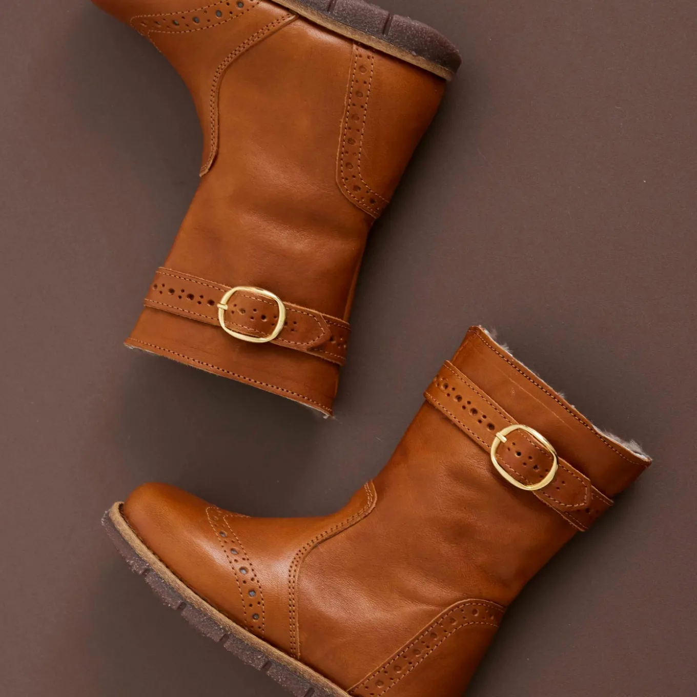 noli lamb cognac