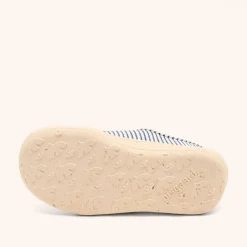 pav whale