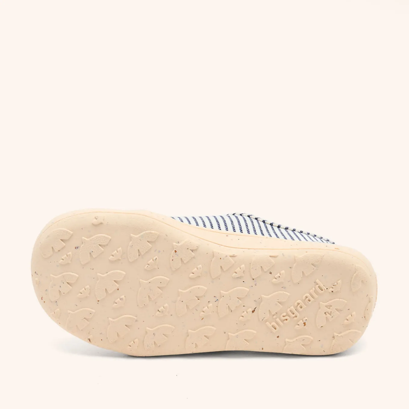 pav whale