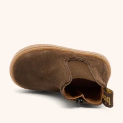 phillip dark brown