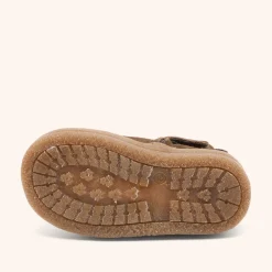 phillip dark brown