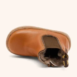 phillip lamb cognac