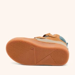 roy tex camel