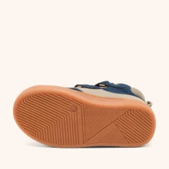 roy tex navy