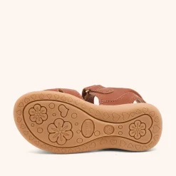 sofie cognac