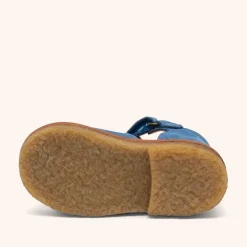 steph blueberry