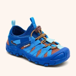zion cobalt