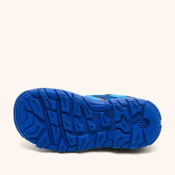 zion cobalt