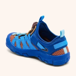 zion cobalt