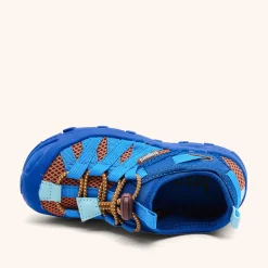 zion cobalt